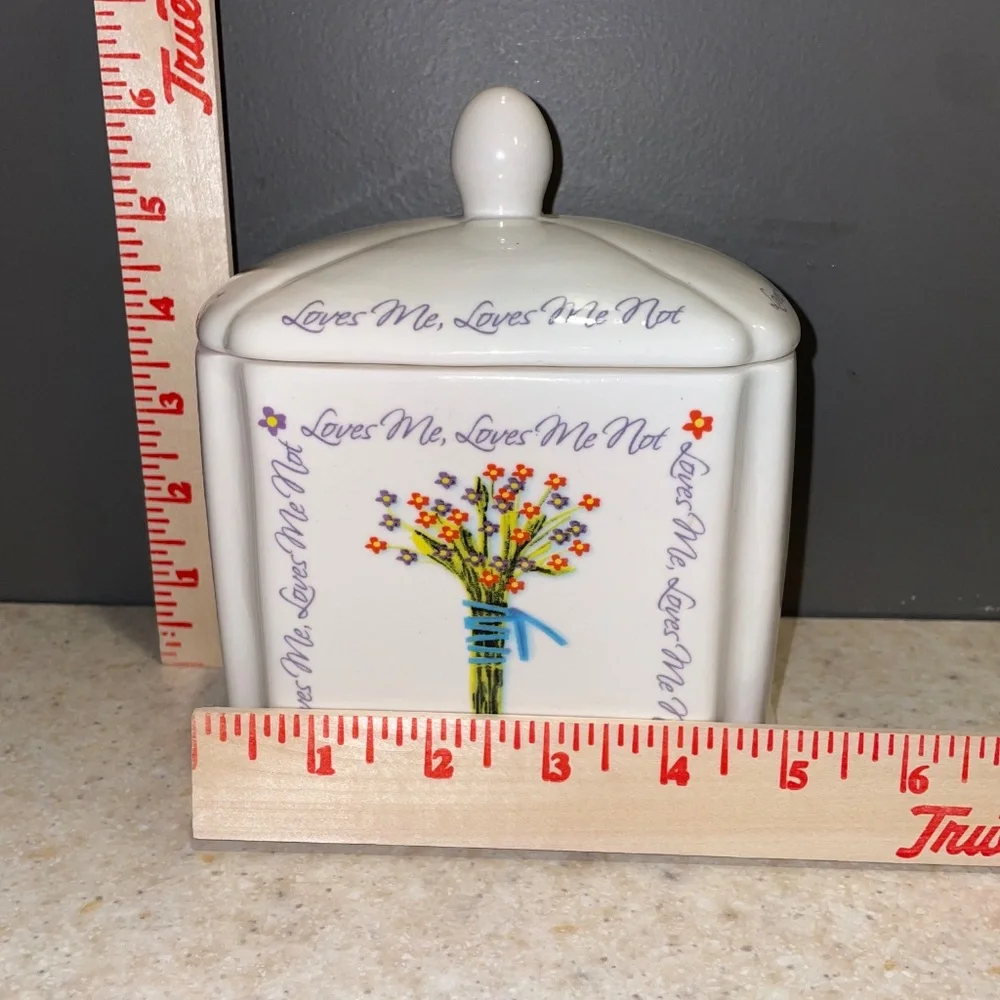 Tea Caddy Biscuit Box Jar Porcelain with Tea Bag Strainer Holder Shabby Chic
